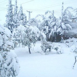 Snowing in Hebron